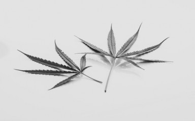 Детоксикация от наркотиков в Новой Чаре